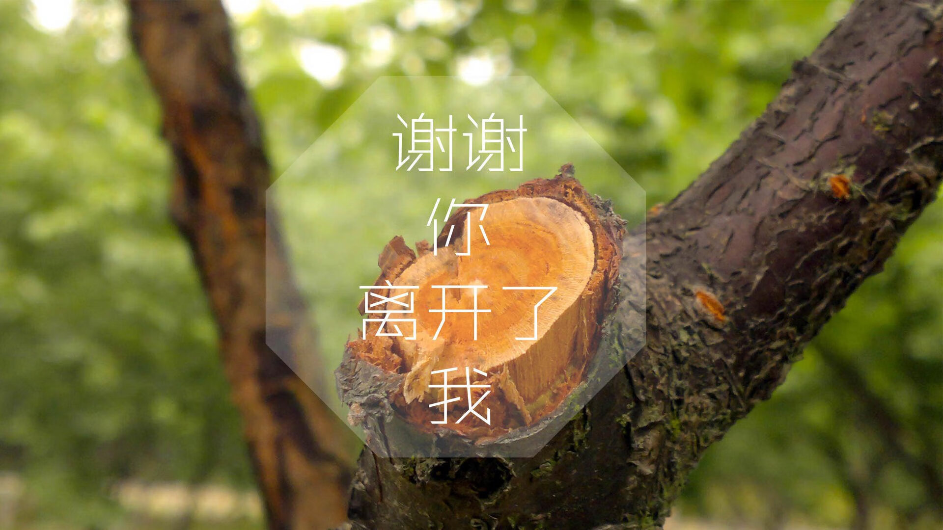 数字体育推动中国足球迈向智能化、信息化,数字体育市场